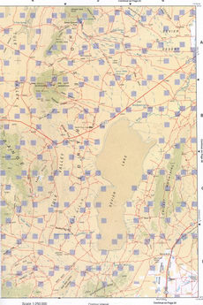 Topographic map of Southwestern Utah - Millard CO