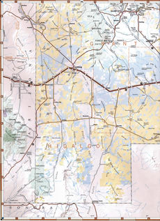 map of Hidalgo County, New Mexico, USA